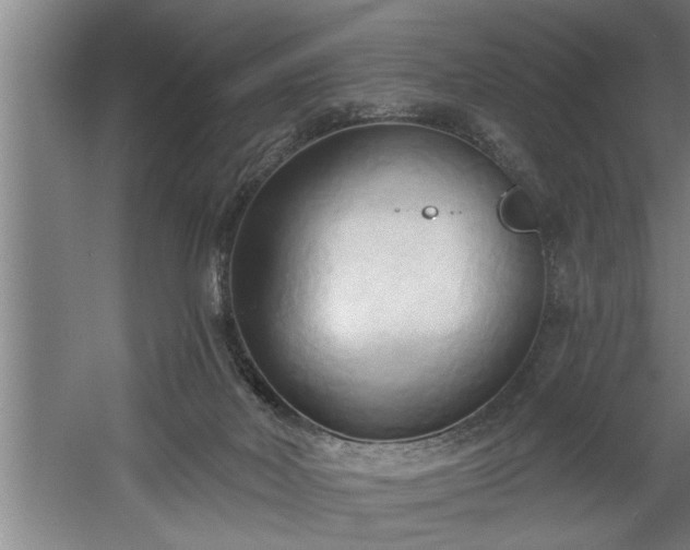 X0000060560026200511070959