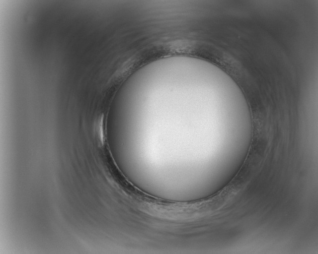 X0000060560028200511070959