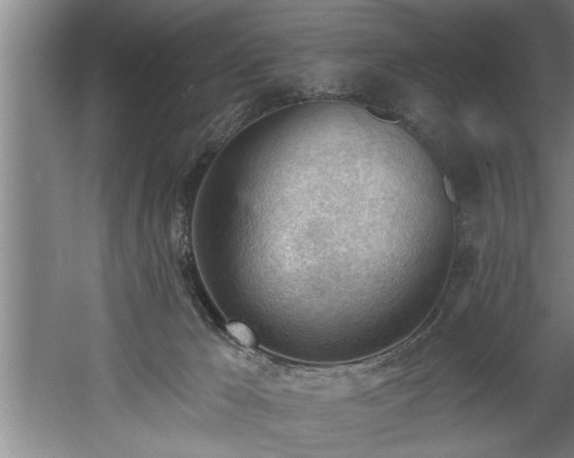 X0000060560029200511070959