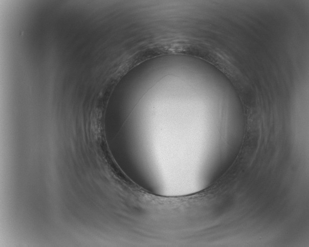 X0000060560030200511070959