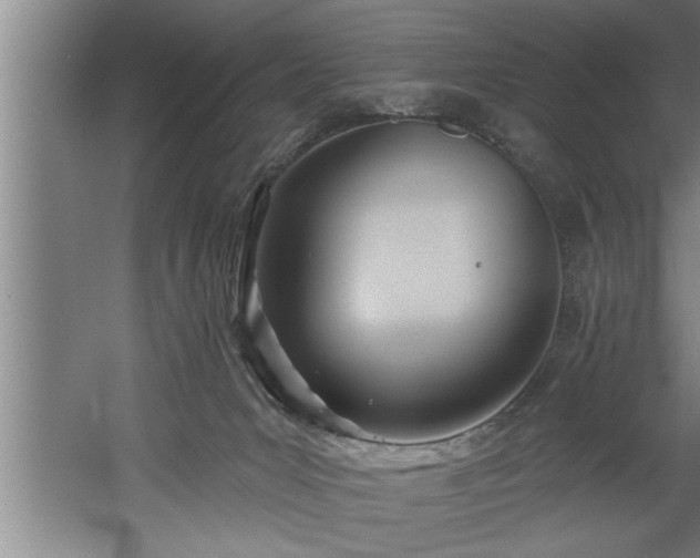 X0000060560031200511070959