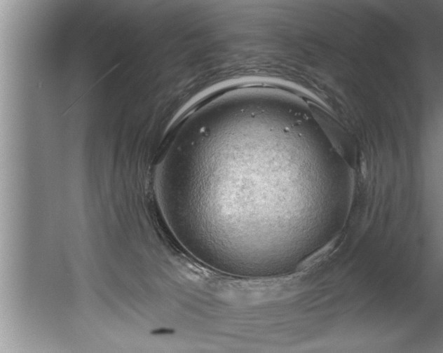 X0000060560033200511070959