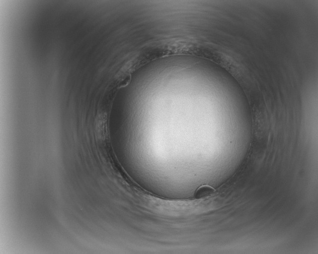 X0000060560034200511070959