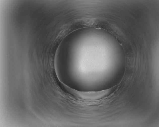 X0000060560035200511070959