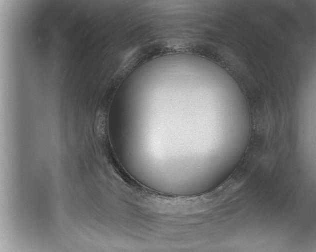 X0000060560036200511070959