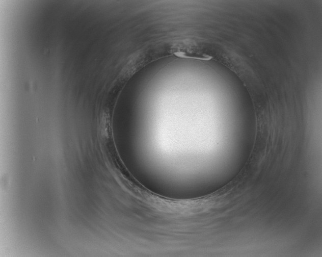 X0000060560038200511070959