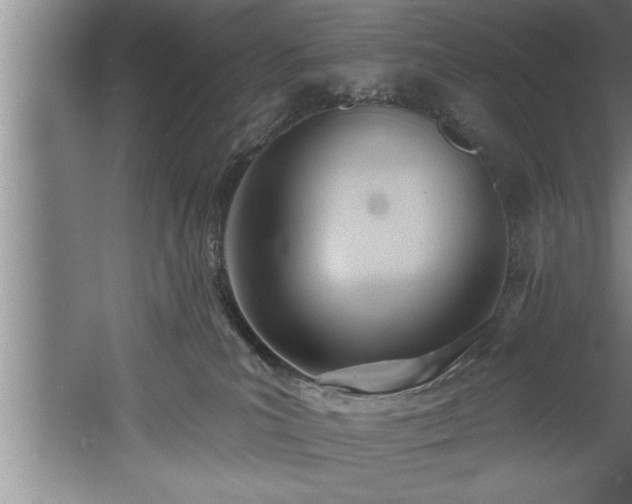 X0000060560039200511070959