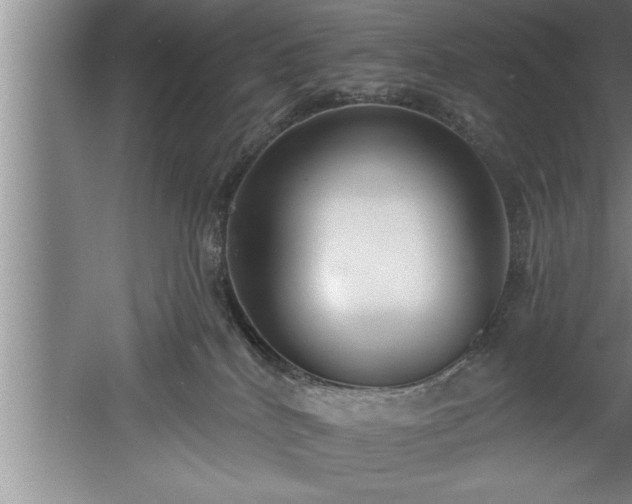 X0000060560040200511070959