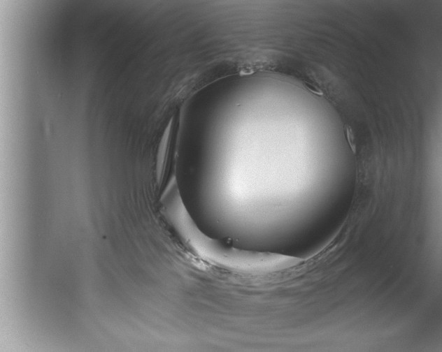 X0000060560041200511070959