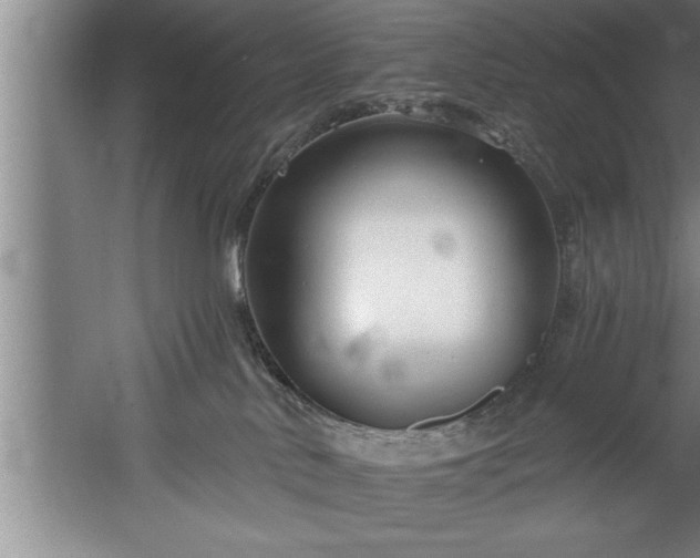 X0000060560042200511070959