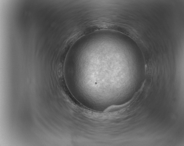 X0000060560043200511070959