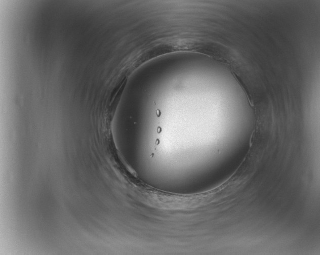 X0000060560044200511070959