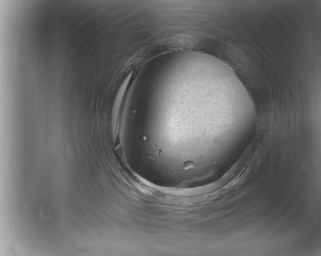 X0000060560045200511070959