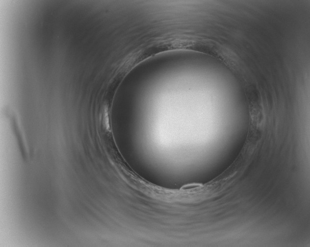 X0000060560046200511070959