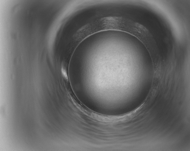 X0000060560047200511070959