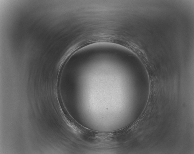 X0000060560051200511070958