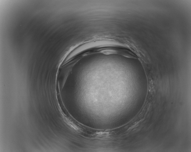 X0000060560052200511070958