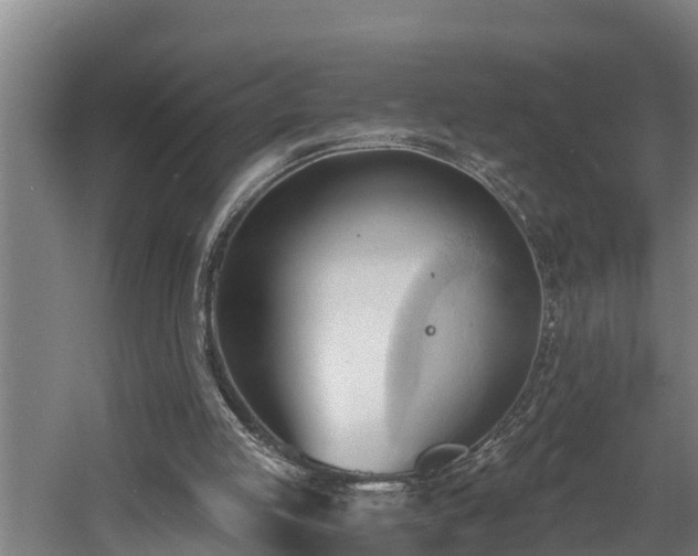 X0000060560053200511070958