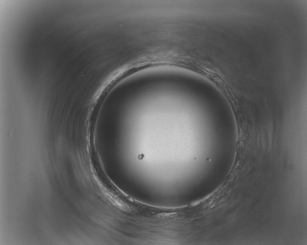 X0000060560054200511070958