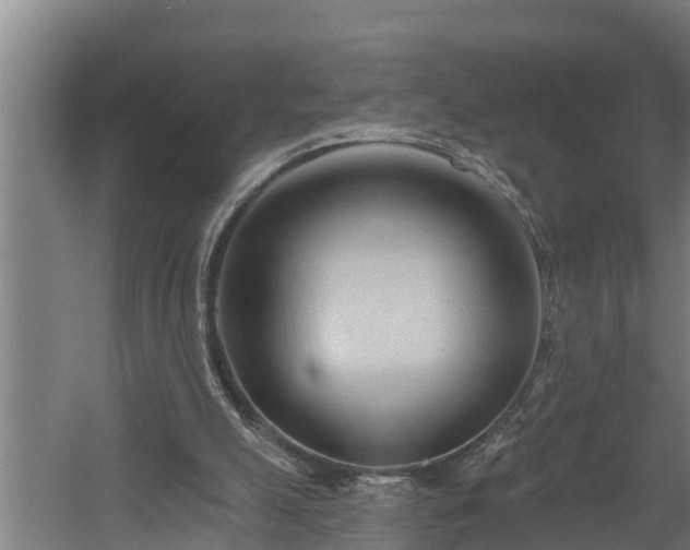 X0000060560055200511070958