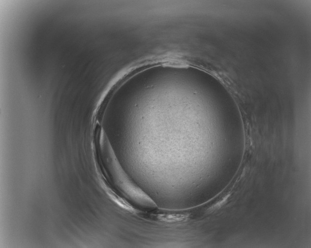 X0000060560056200511070958