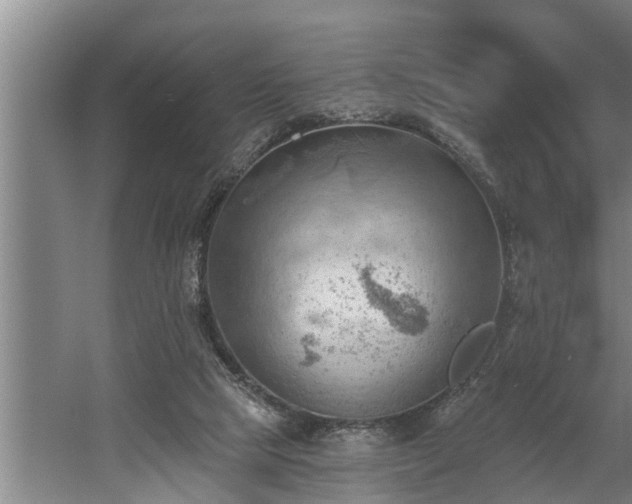 X0000060560065200511070959