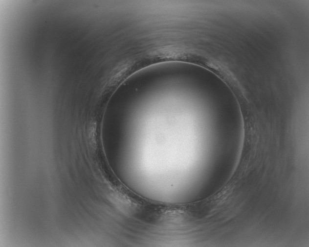 X0000060560066200511070959