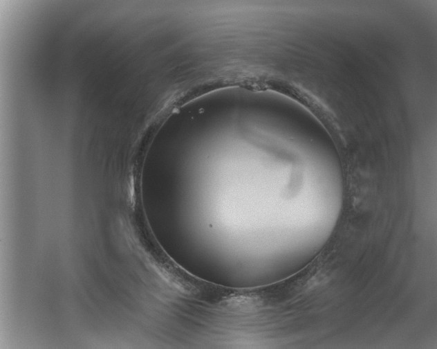 X0000060560067200511070959