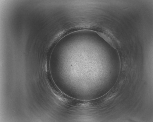 X0000060560068200511070959