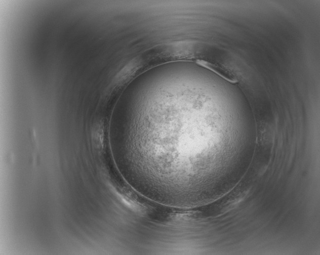 X0000060560072200511070959