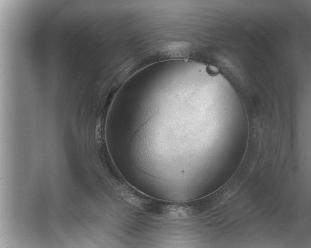 X0000060560073200511070959