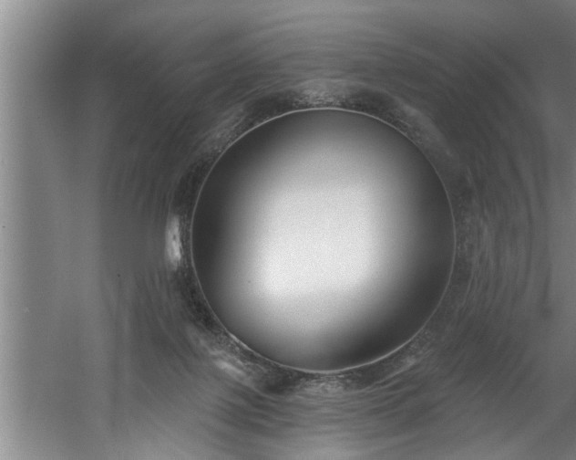 X0000060560075200511070959