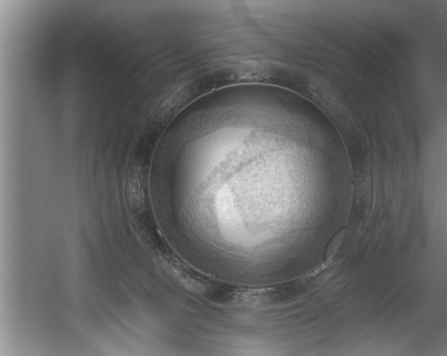 X0000060560078200511070959