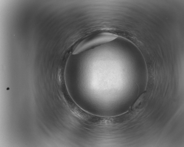 X0000060560080200511070959