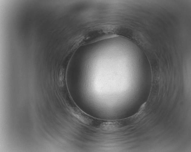 X0000060560082200511070959