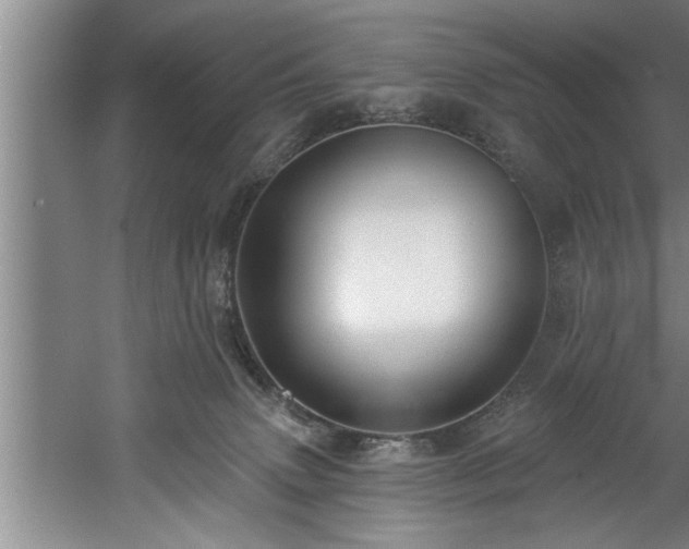 X0000060560083200511070959