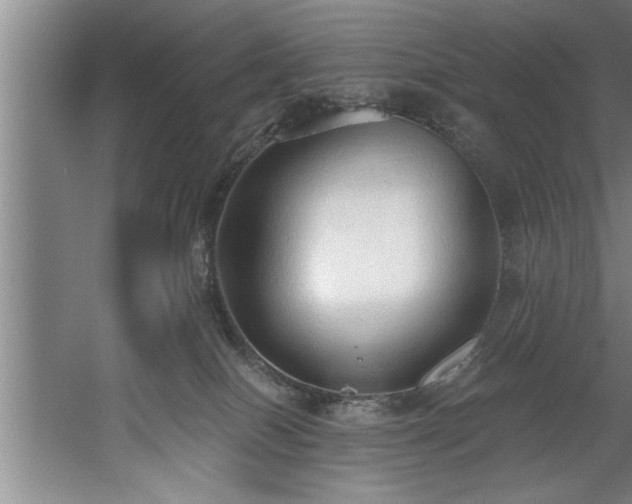 X0000060560086200511070959