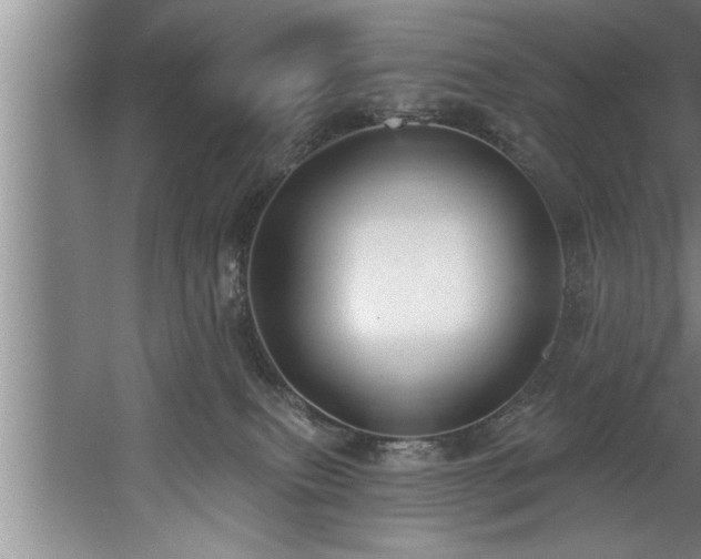 X0000060560087200511070959