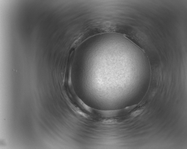 X0000060560088200511070959