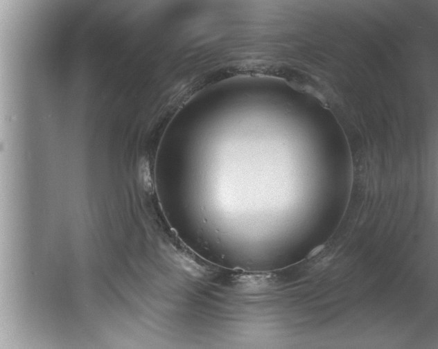 X0000060560089200511070959