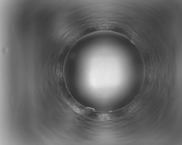 X0000060560091200511070959