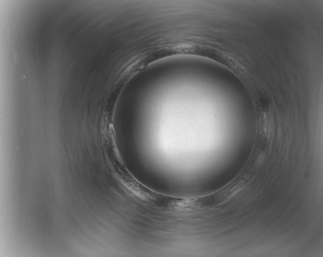 X0000060560092200511070959