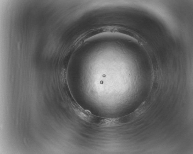 X0000060560093200511070959