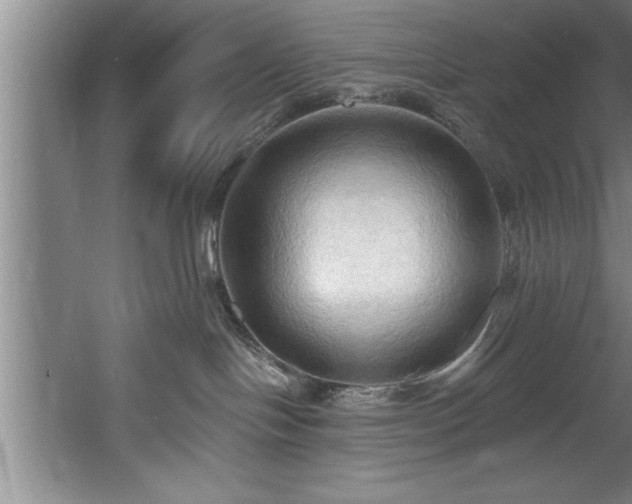 X0000060560094200511070959