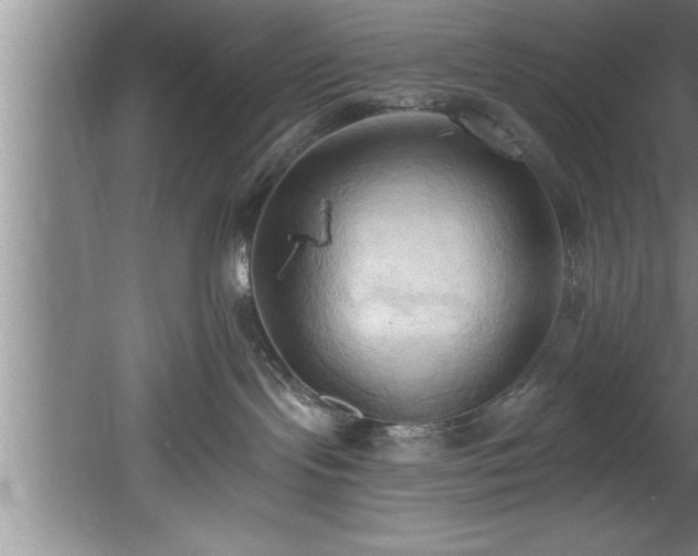 X0000060560095200511070959