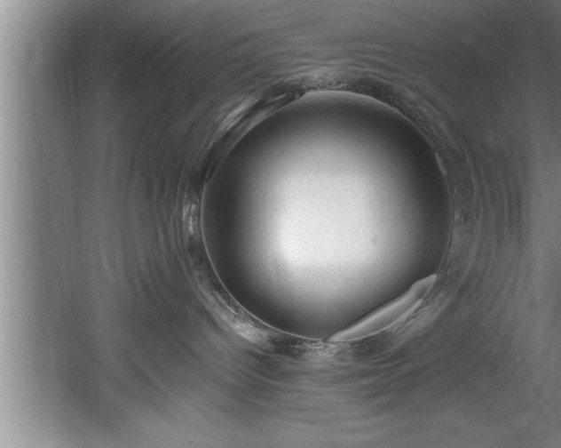 X0000060560096200511070959