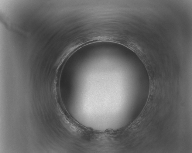 X0000060560098200511070958