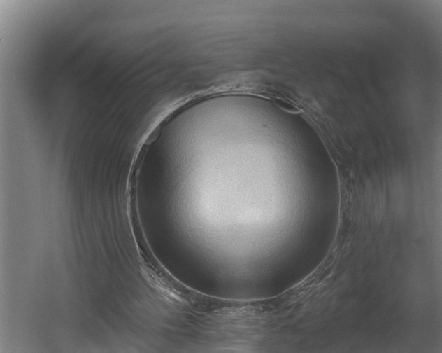 X0000060560100200511070958