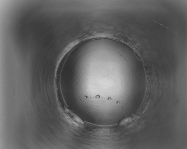 X0000060560104200511070958