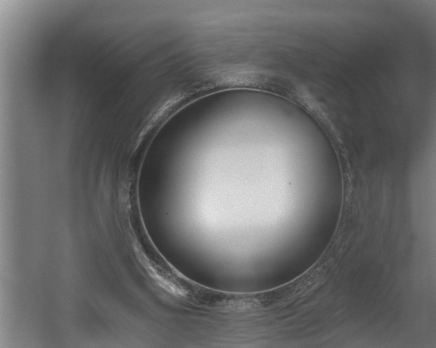 X0000060560106200511070958